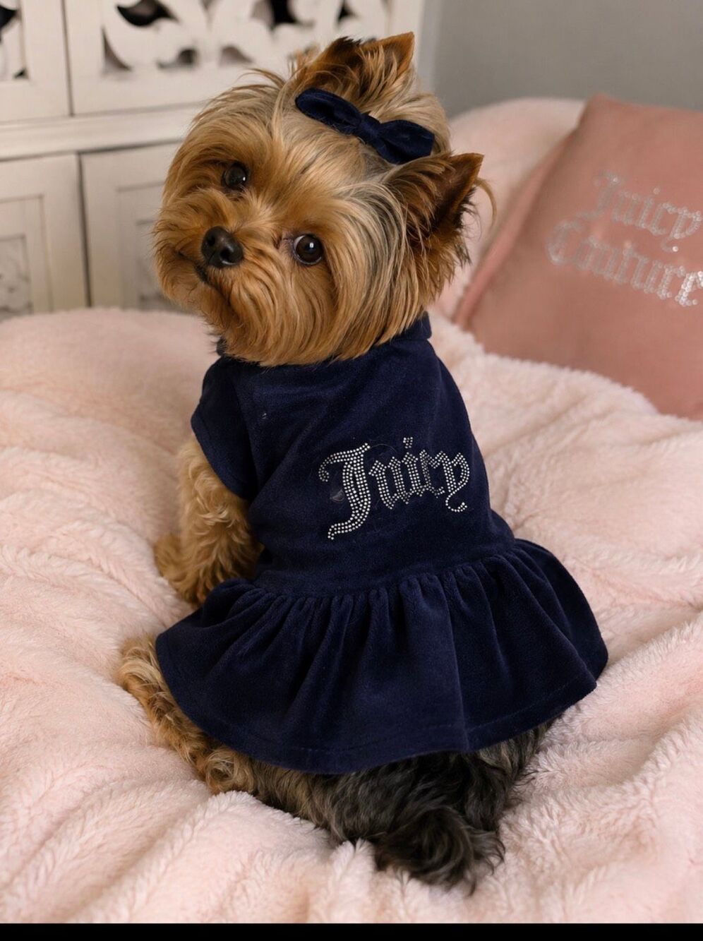 Juicy couture M/L terry velour bling  dog/cat pet clothes hoodie nwt rhinestone